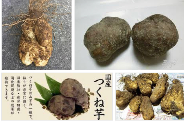 つくね芋鍋の世界に初めて舌を踏み入れて 平ちゃんのブログ旅日記 つくね芋鍋の世界に初めて舌を踏み入れて 平ちゃんのブログ旅日記