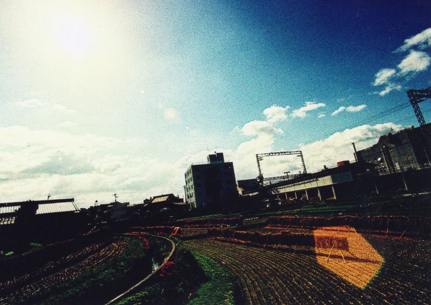 d0235865_23322586.jpg