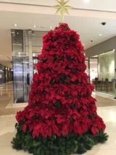 南カリフォルニアのクリスマス風景ーシャネル、ルイヴィトンなどなど_e0350971_12274465.jpg