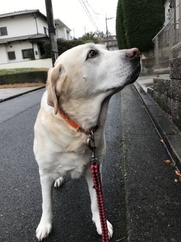 f0315081_17523604.jpeg