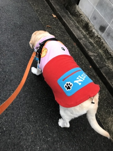 f0315081_17540779.jpeg