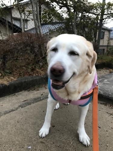 f0315081_17542921.jpeg