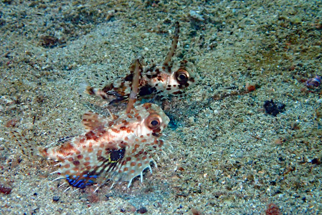 b0137083_18234983.jpg