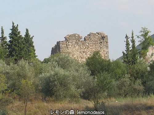 c0010496_19000129.jpg