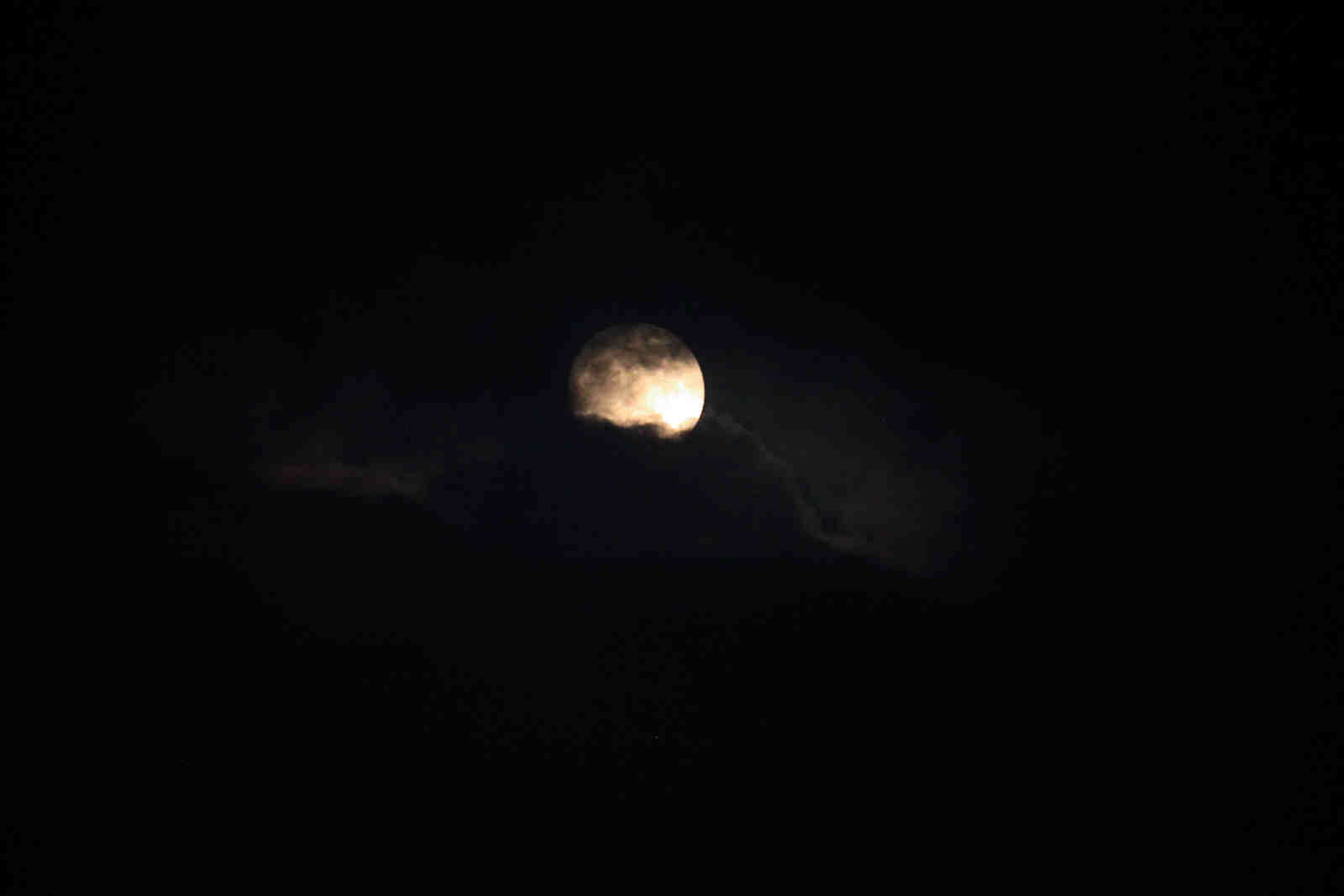 c0368903_18120436.jpg