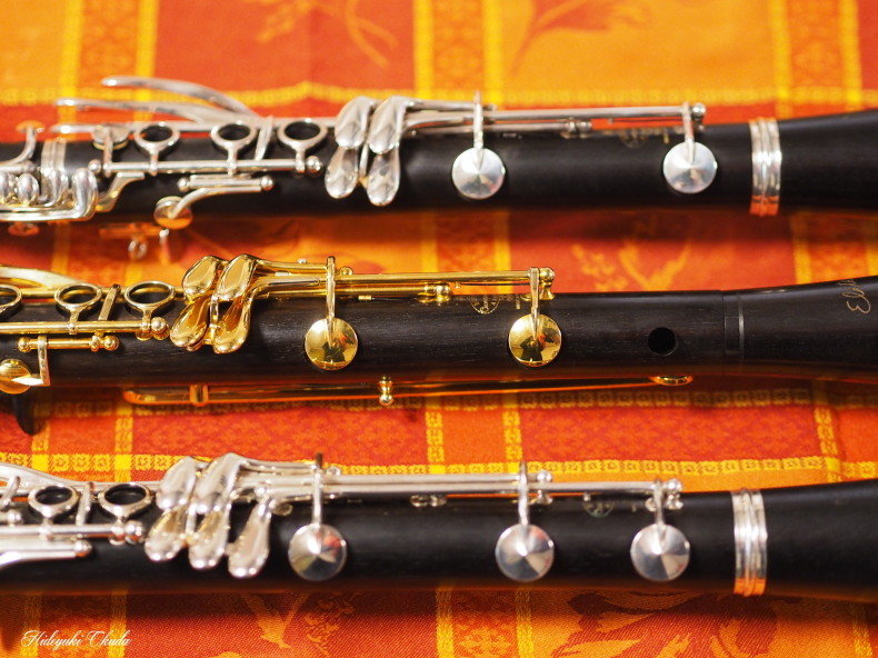 Buffet Crampon ELITE（中古/送料無料）【楽器検索デジマート】