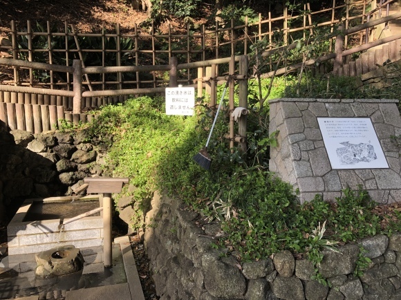 d0346713_21411505.jpeg