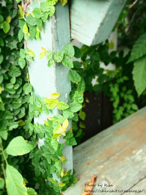 c0274618_18331916.jpg