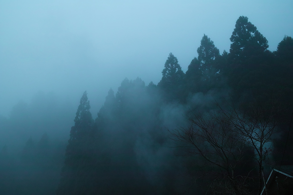 濃い霧で4.5℃の朝に・・・・朽木小川・気象台より_c0044819_7485639.jpg