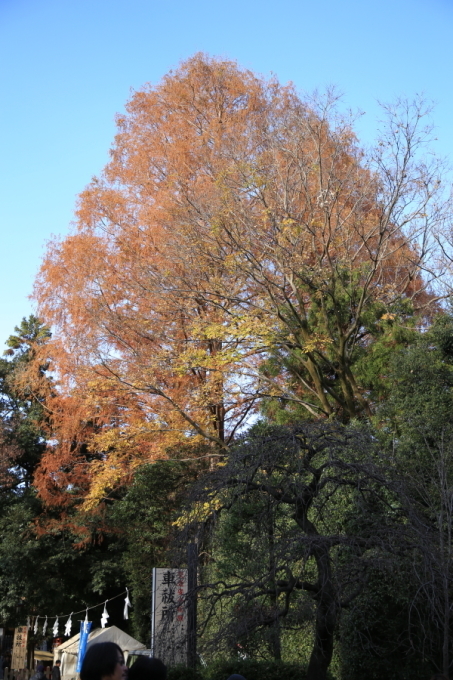 f0229832_23333708.jpg