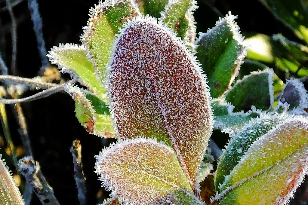 b0236251_11454753.jpg