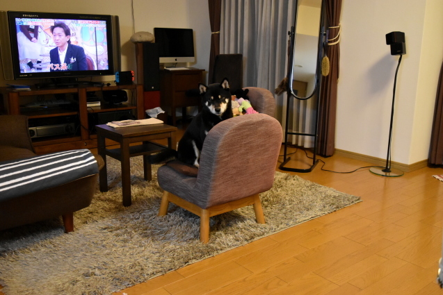 f0363156_17584428.jpg