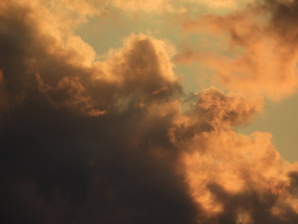 b0160957_09563074.jpg