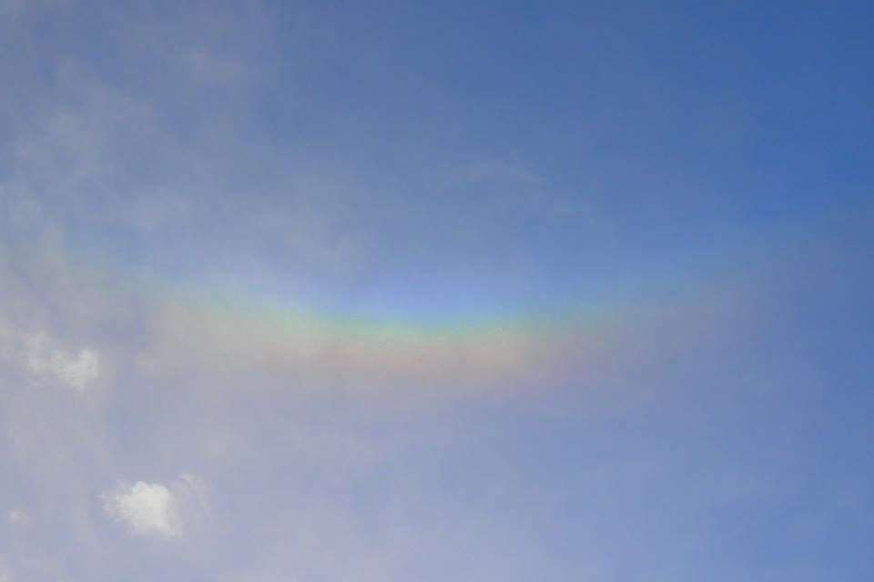 b0160957_10051448.jpg