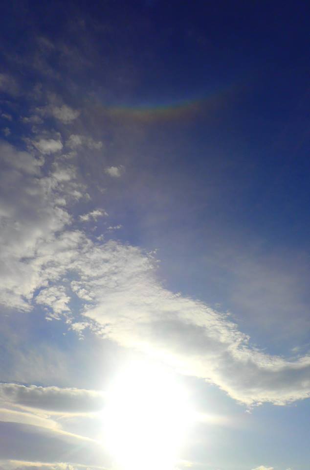 b0160957_10053998.jpg