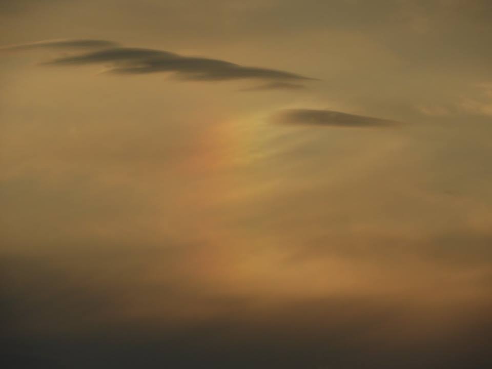 b0160957_10060117.jpg