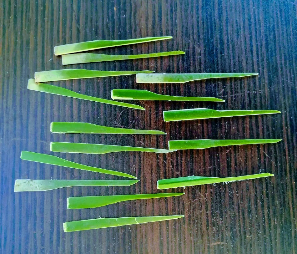 a0248459_15515007.jpg