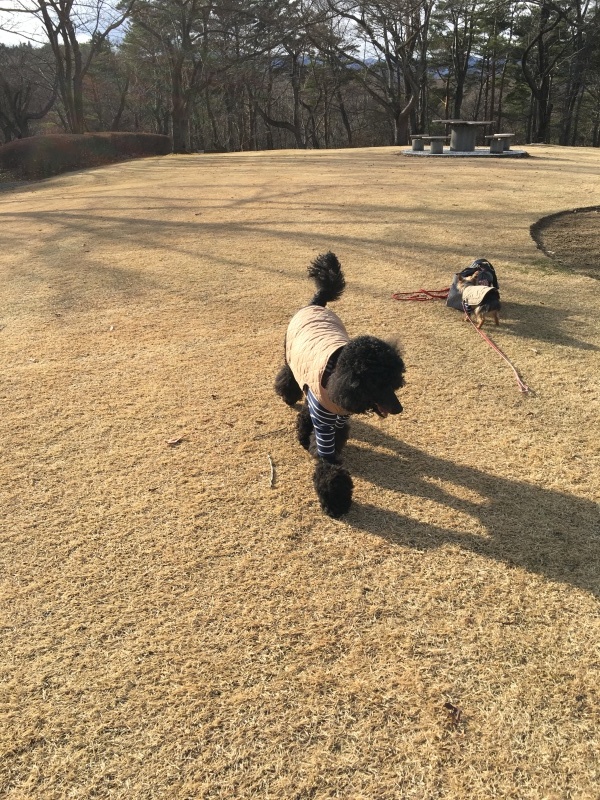 c0283778_22334283.jpeg