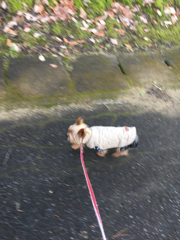 c0283778_22351798.jpeg