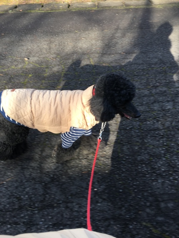 c0283778_22362961.jpeg