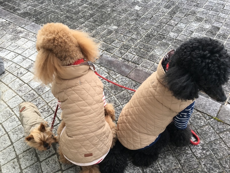c0283778_22410792.jpeg