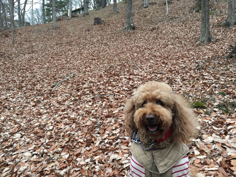c0283778_22453717.jpeg