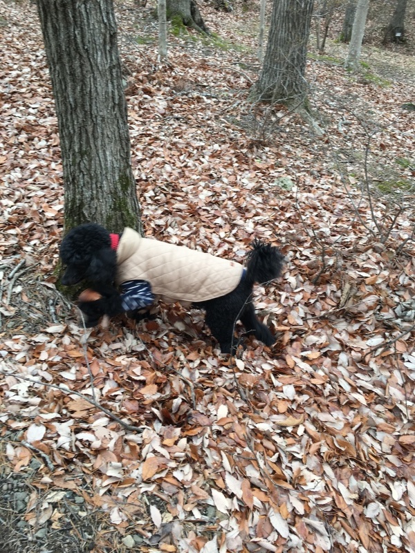 c0283778_22460221.jpeg