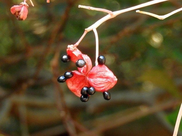 f0378979_19060282.jpg
