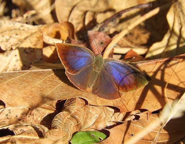 f0378979_19091063.jpg