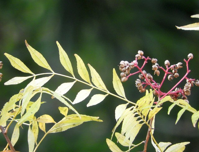 f0378979_19132304.jpg