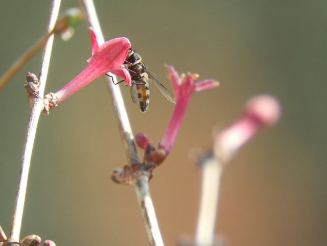 f0378979_19154000.jpg