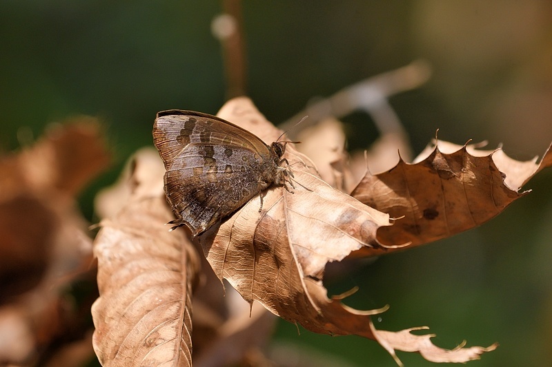 f0031682_15083902.jpg