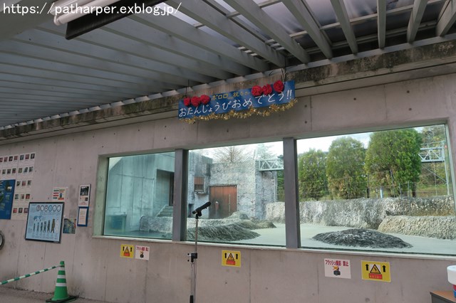 2018年12月 とくしま動物園 その1 ポロロ6歳の誕生会_a0052986_7165172.jpg