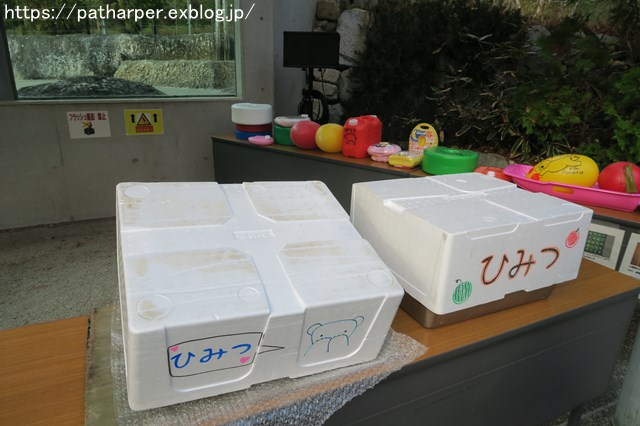 2018年12月 とくしま動物園 その1 ポロロ6歳の誕生会_a0052986_7182391.jpg