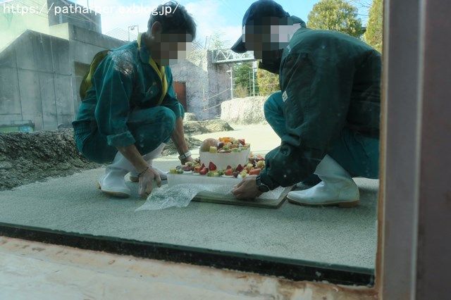 2018年12月 とくしま動物園 その1 ポロロ6歳の誕生会_a0052986_7332227.jpg