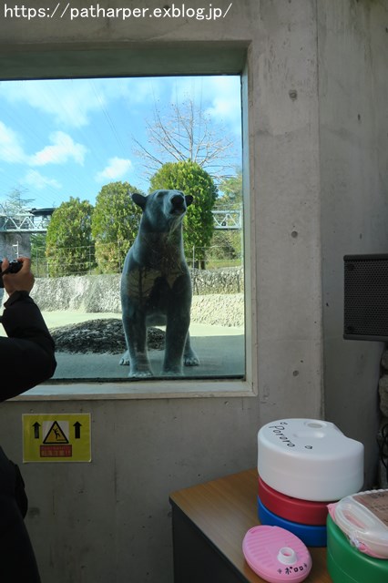 2018年12月 とくしま動物園 その1 ポロロ6歳の誕生会_a0052986_7384273.jpg