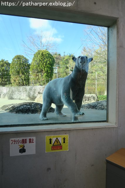 2018年12月 とくしま動物園 その1 ポロロ6歳の誕生会_a0052986_739769.jpg