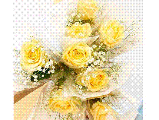 e0199691_00270419.gif