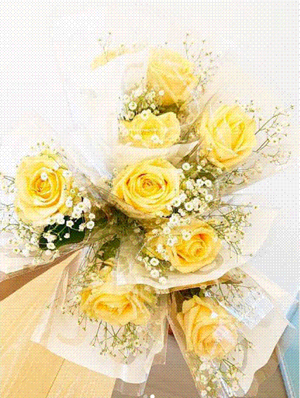 e0199691_00303220.gif