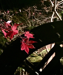 c0039501_18022604.jpeg