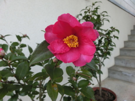 a0203003_17461424.jpg