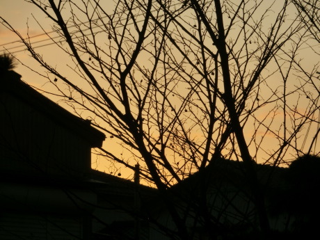 a0203003_17472983.jpg