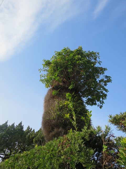 d0360104_20512326.jpg