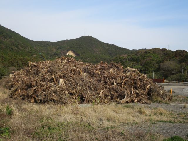d0360104_20524175.jpg