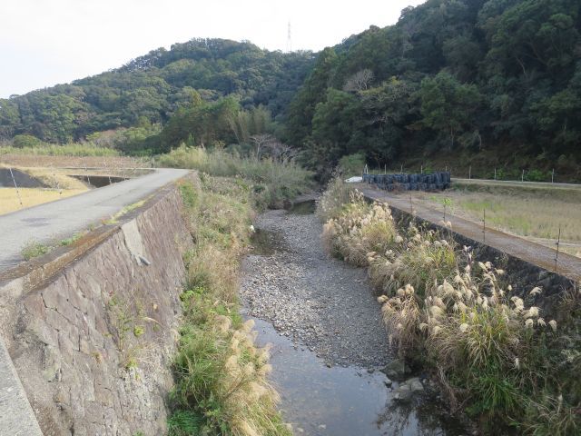 d0360104_20534679.jpg