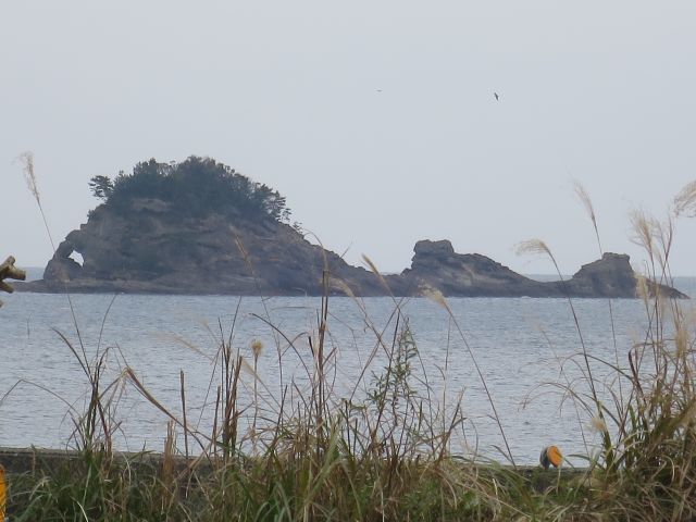 d0360104_20560770.jpg