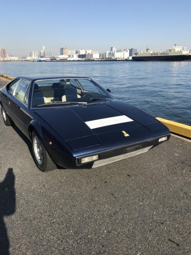 Nereto からのDino208gt4が到着_a0129711_14055124.jpg