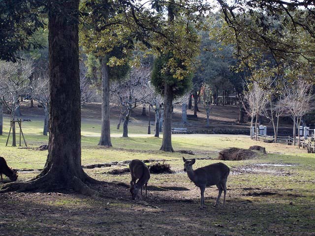 d0295818_23273795.jpg