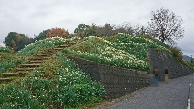f0228619_22494095.jpg