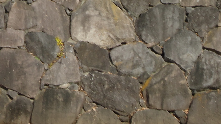 b0057924_16404773.jpg
